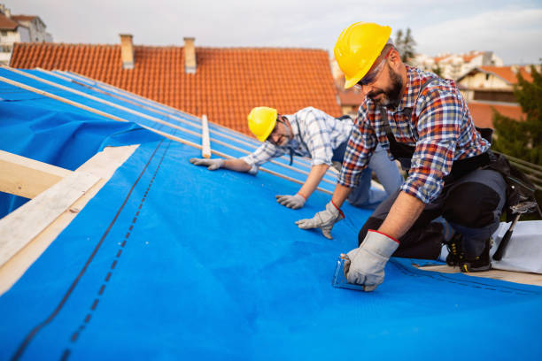 Best Roof Leak Repair  in Walnut Creek, OH